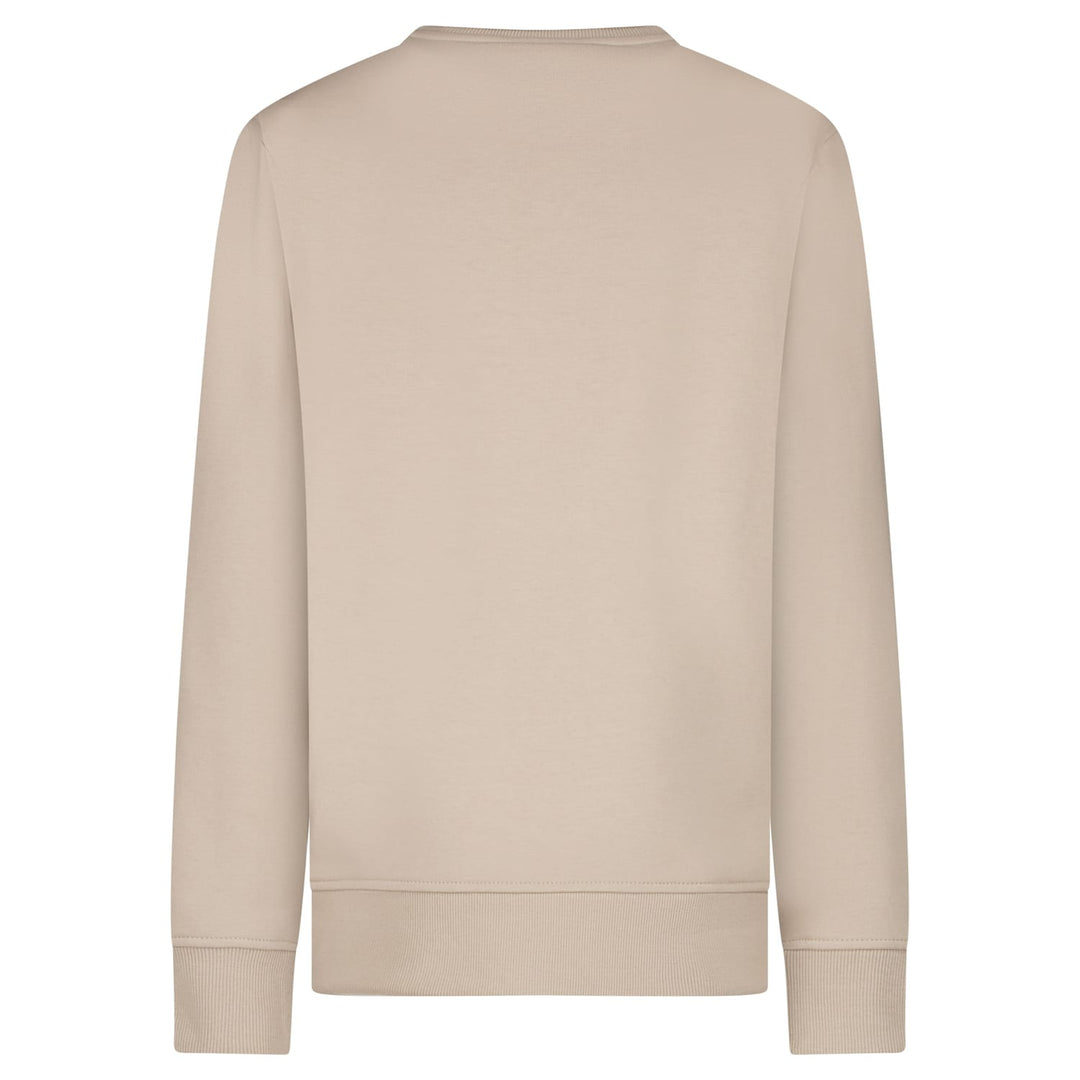 Cars boys 20797 sweater jongens taupe