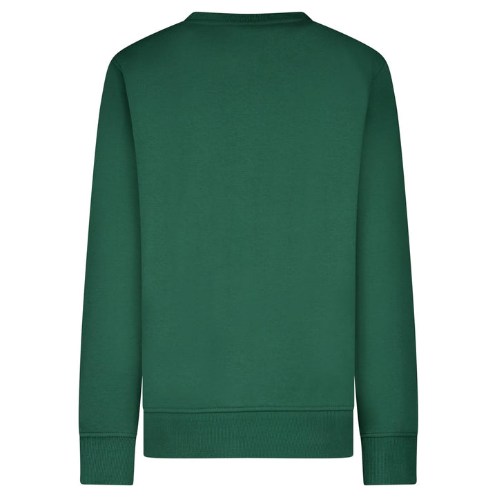 Cars boys 20797 sweater jongens olijf