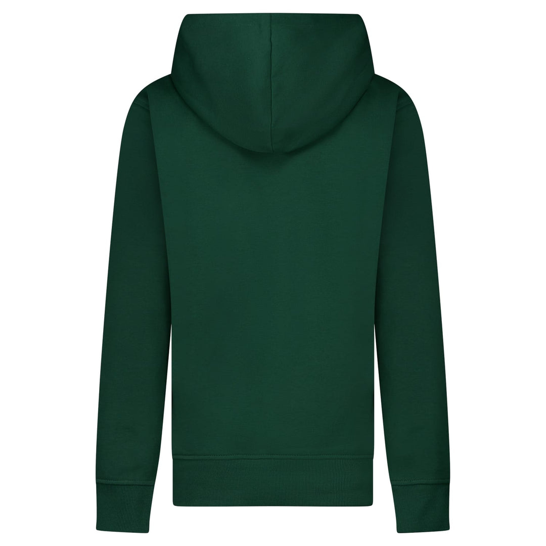 Cars boys 27597 Fimma sweater jongens olijf