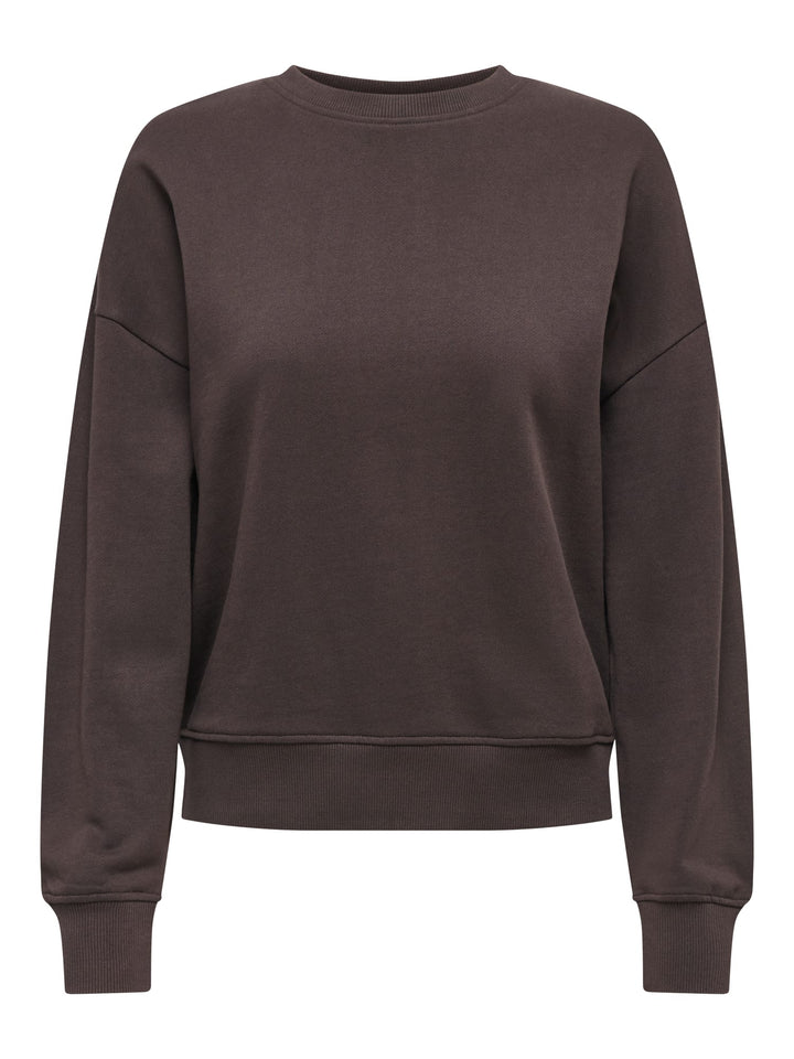 Only 15390754 catrin sweater bruin dessin – dames