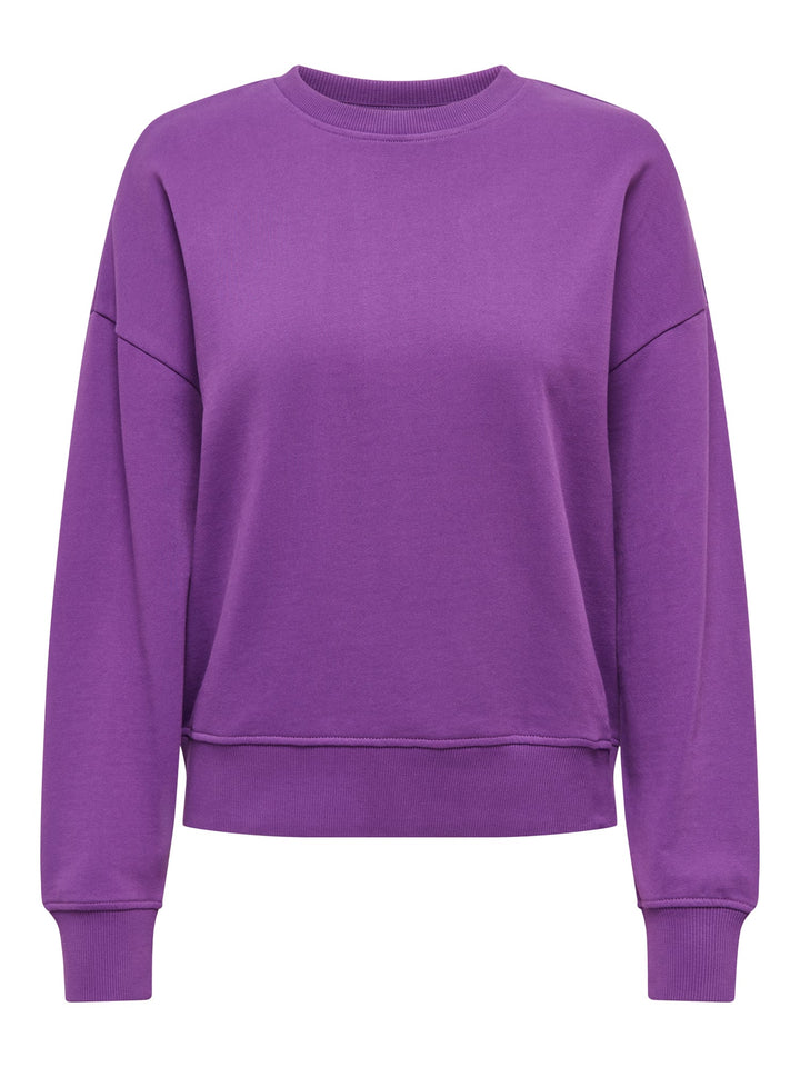 Only 15390754 catrin sweater paars dessin – dames