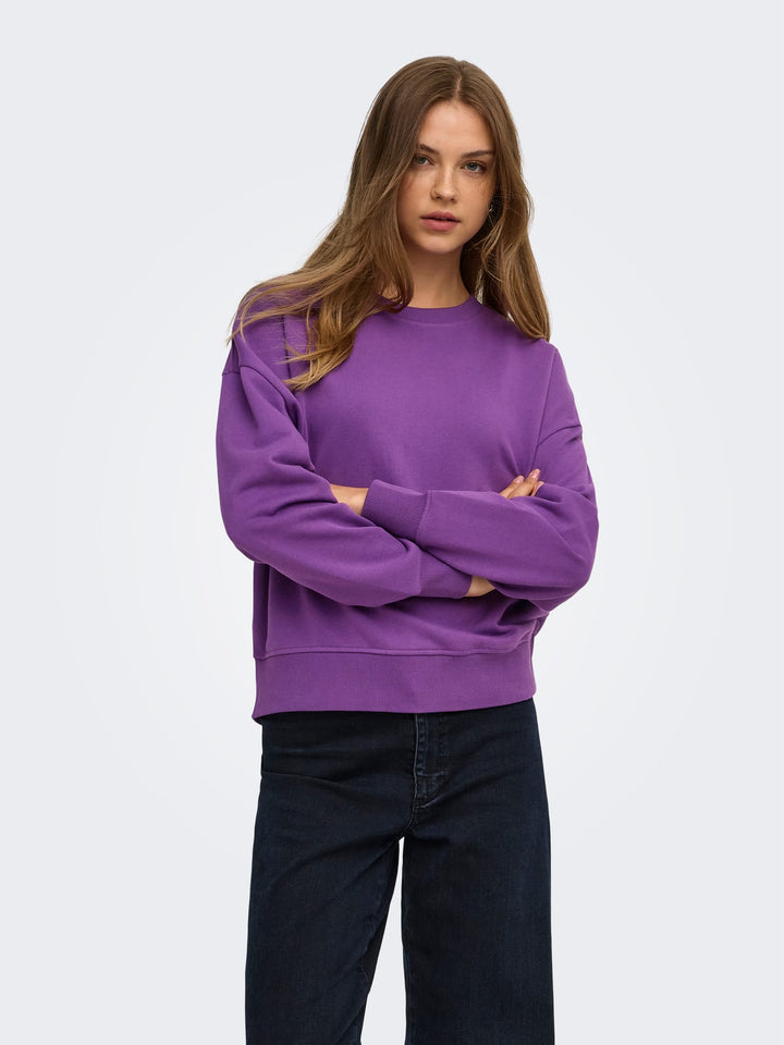 Only 15390754 catrin sweater paars dessin – dames