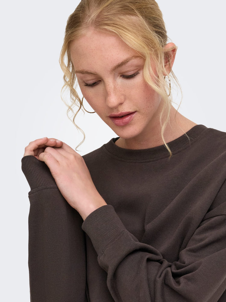 Only 15390754 catrin sweater bruin dessin – dames