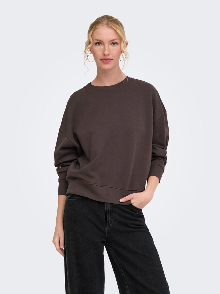 Only 15390754 catrin sweater bruin dessin – dames