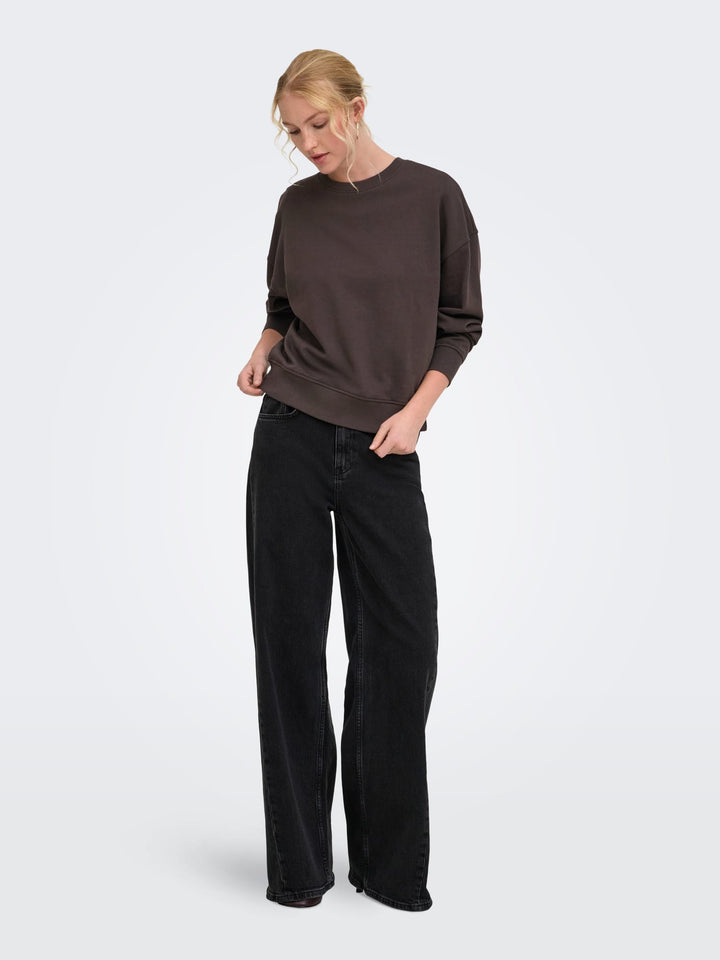 Only 15390754 catrin sweater bruin dessin – dames