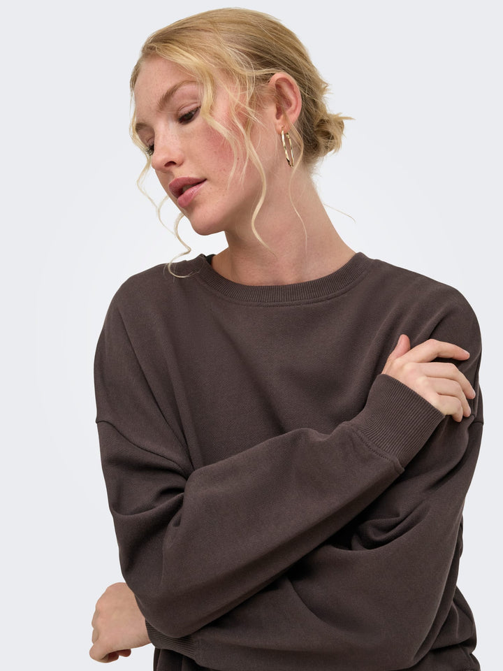 Only 15390754 catrin sweater bruin dessin – dames