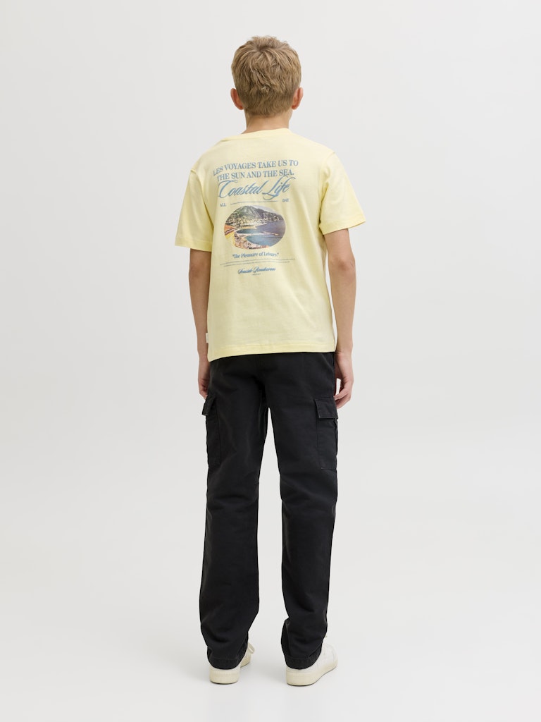 12297183 - Geel