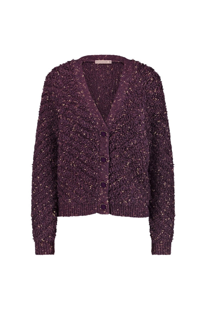Studio Anneloes 12026 Iris vest gebreid aubergine – dames