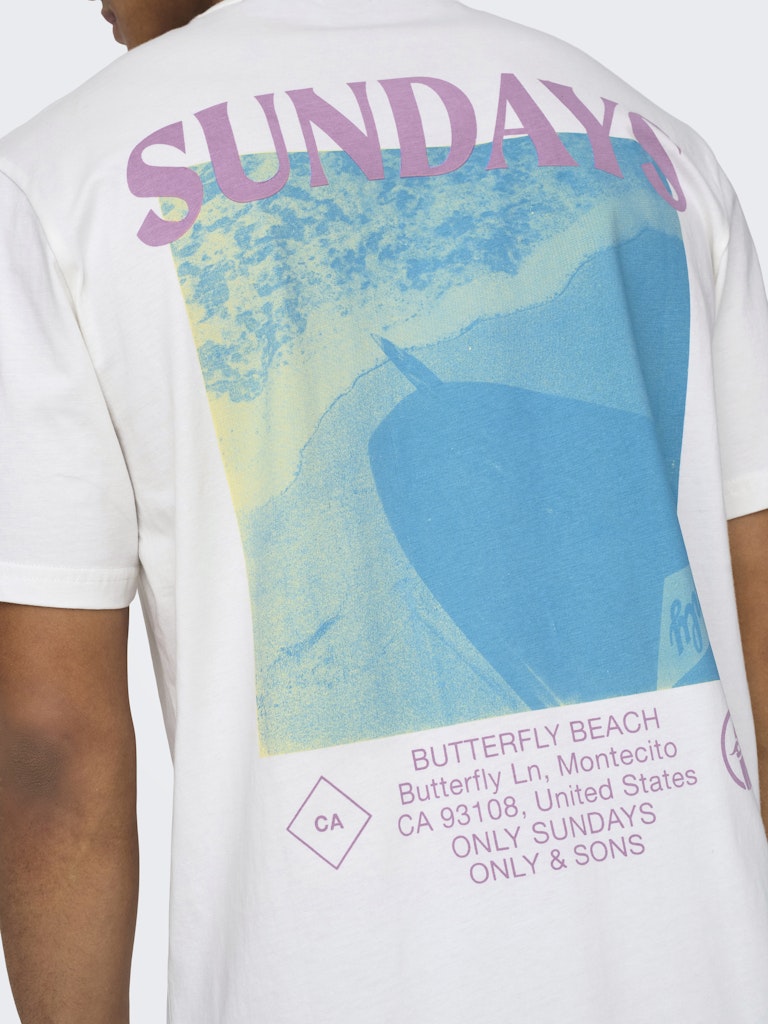 ONLY & SONS t-shirt k/m heren off-white – Skye