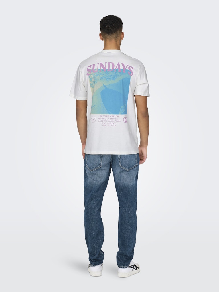 ONLY & SONS t-shirt k/m heren off-white – Skye