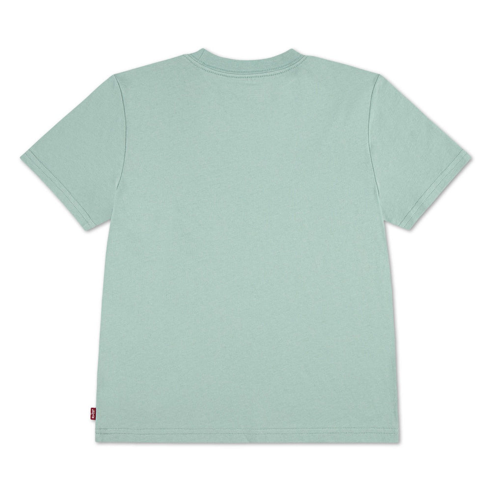 Levi's boys t-shirt mint – jongens