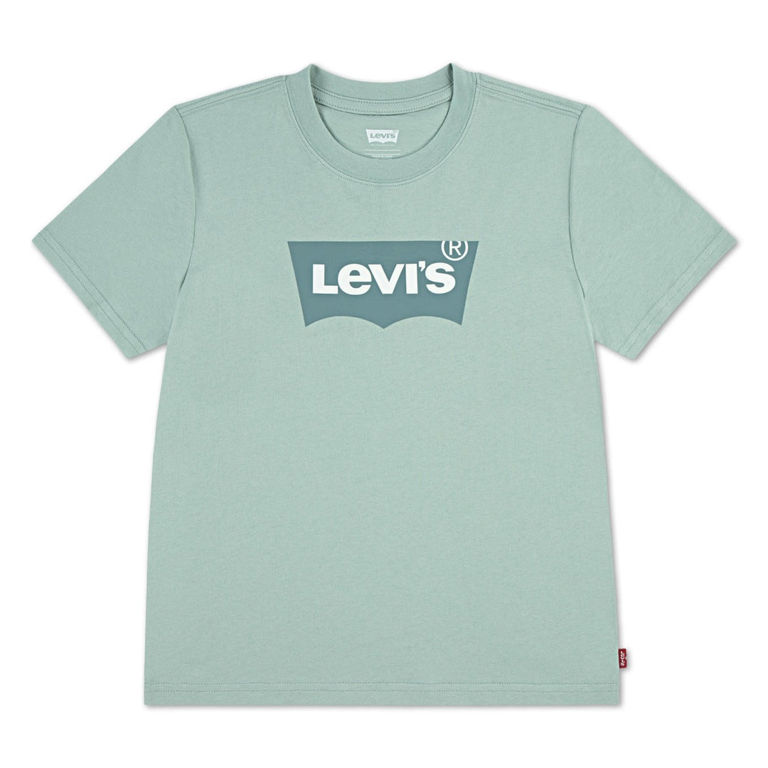 Levi's boys t-shirt mint – jongens