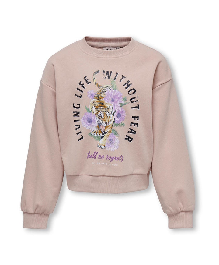 Kogfrancy L/s Tiger Box Ub Swt - Zalm/peach